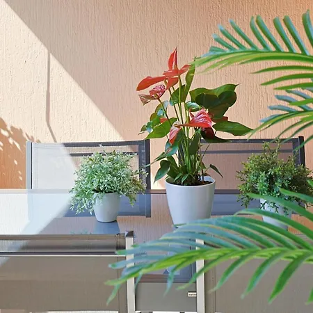 Apartment Luxueux A Parking Climatisation Piscine